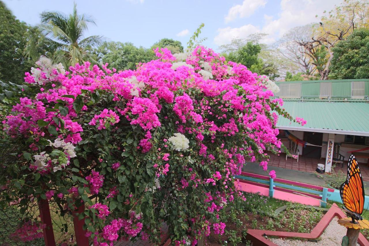 Hotel Marielos Tamarindo Exterior photo